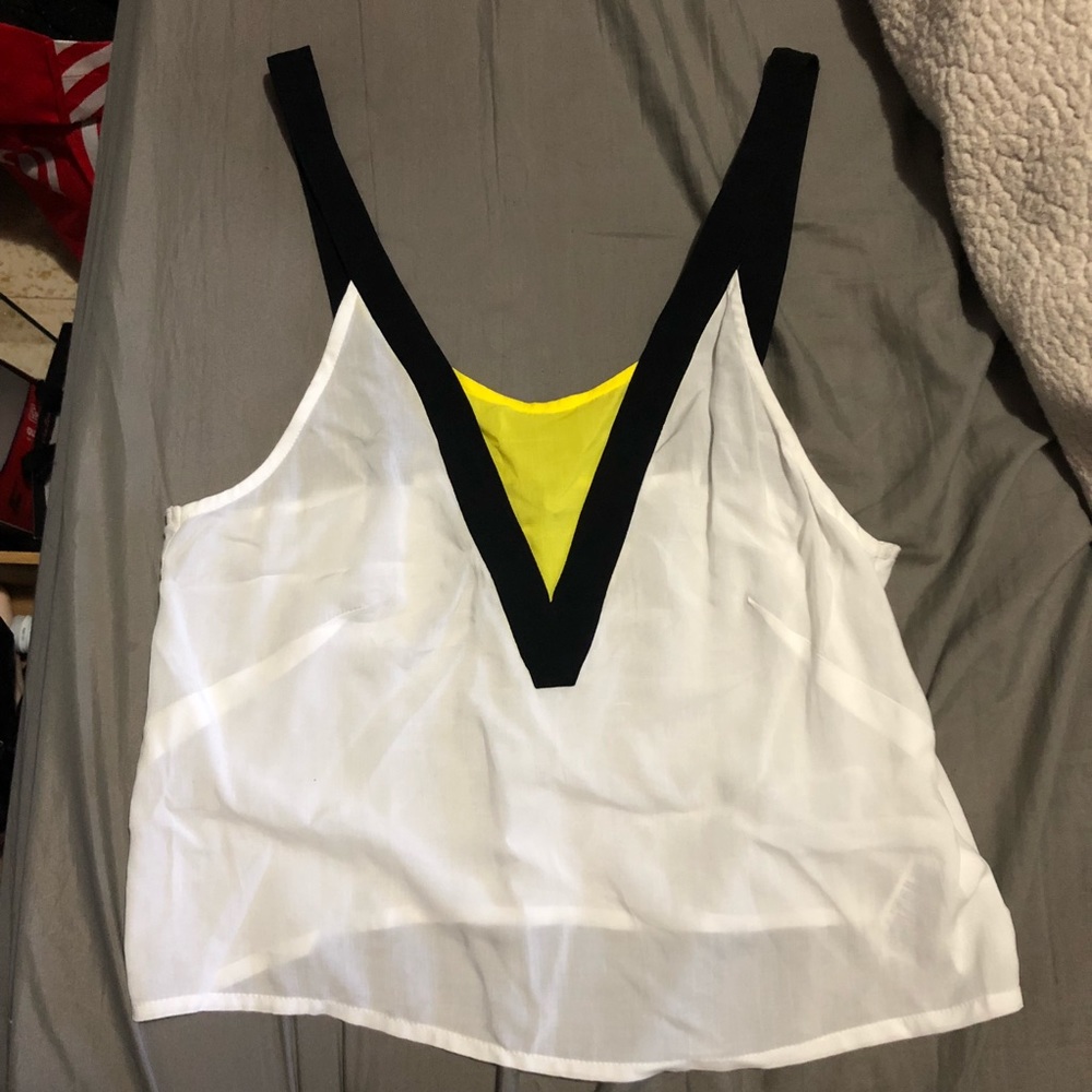 Sheer Crop Top
